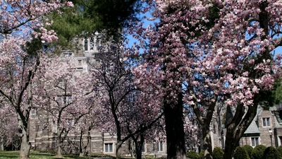 Program in American Studies Class Day 2020 - Princeton University Media Central