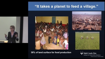 Dr. Sharon Deem - One Health in the Age of the Anthropocene - University of Georgia Kaltura