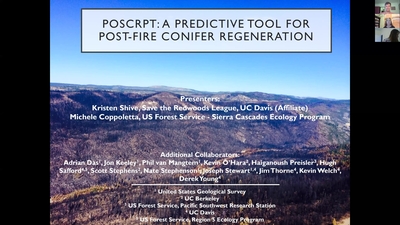 CFSC UCD Webinar Conifer regeneration after severe wildfire