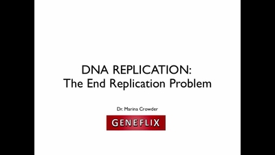 End Replication Problem - University of California, Davis