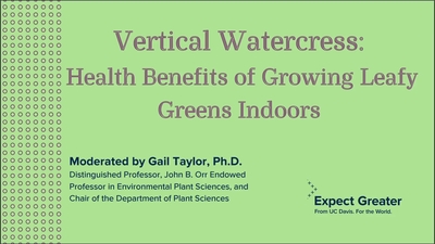 Watercress juice benefits new arrivals