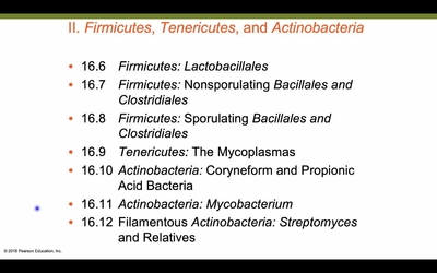 BacterialDiversityPart2 - VCU Kaltura MediaSpace