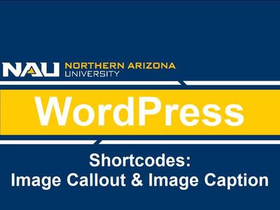 What is a Callout WordPress 