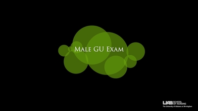 Male GU Exam