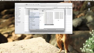 Versioning - Media Hopper Create
