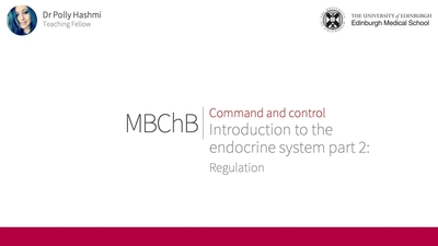 Intro to the endocrine system: regulation - Media Hopper Create