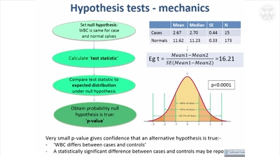 2. Hypothesis Testing - Media Hopper Create