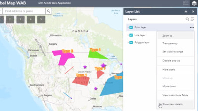 How To: Disable the Show Item Details option in ArcGIS Web AppBuilder ...