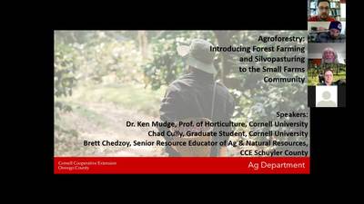 Agroforestry Workshop: Introducing Forest Farming and Silvopasture to the Small Farms Community