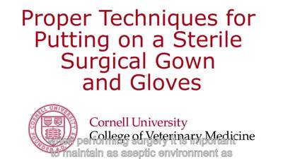 Sterile Gowning Procedure 2