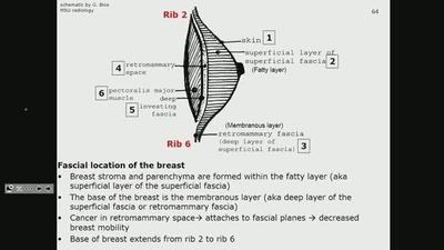 Definition of breast quadrants planes in supine position. (a