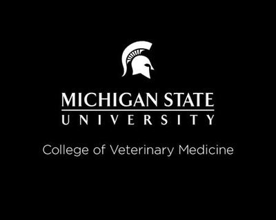 PDI 634-Hypothyroidism in Dogs KRR - MSU MediaSpace