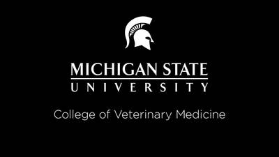 Preparation for dissection of the pelvis - MSU MediaSpace