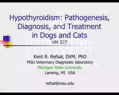 is hypothyroidism genetic in dogs