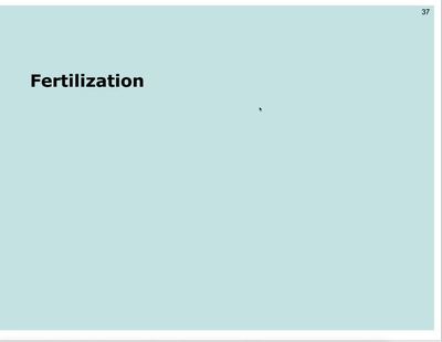 1-4 Fertilization - MSU MediaSpace