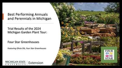 Best Performing Plants At The 2024 Four Star Display Garden: Michigan 