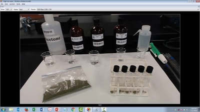 L02-part3-kale-extraction - BYU-Idaho