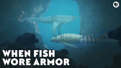 When Fish Wore Armor - BYU-Idaho