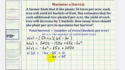 Ex: Optimization - Maximized a Crop Yield (Calculus Methods) - BYU-Idaho