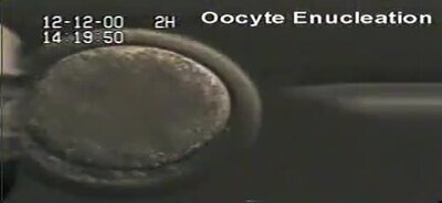 Oocyte Enucleation - BYU-Idaho