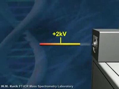 Mass spectrometry Animation [GSYueQzo2n8].mp4 - Illinois Media Space