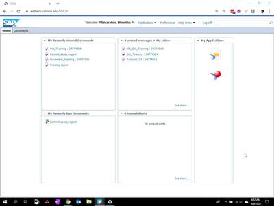 Web Intelligence Reporting Basics - Setting preferences to use Web ...