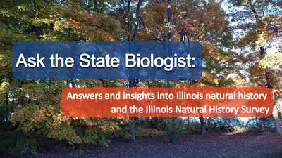 Ask the State Biologist: Answers and insights into Illinois natural ...
