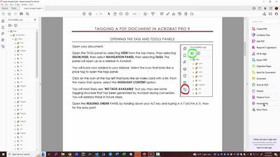 Clearing a PDF Page and Tags Tree - Illinois Media Space
