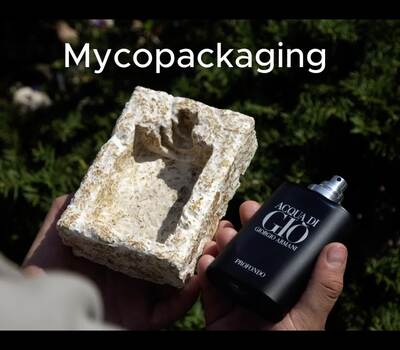 Mycopackaging: Packaging exploration - Illinois Media Space
