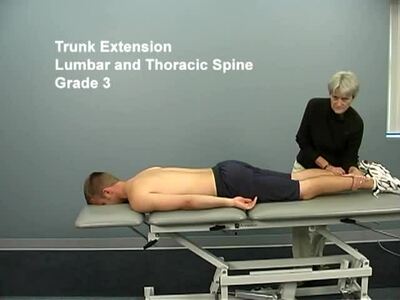 MMT_spine_trunk_combined_extension_gardes0-3 - Lane Community College Media
