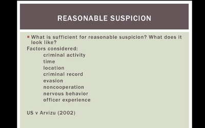 Reasonable Suspicion.2 - University of Georgia Online Learning