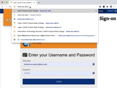 T4-login - LEARNscape: Empire State University
