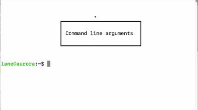 Command line arguments in C++ - University of Alaska Fairbanks