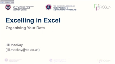 Excelling in Excel: Data Organisation - Media Hopper Create