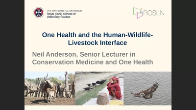 One Health and the Human-Wildlife-Livestock Interface - Media Hopper Create
