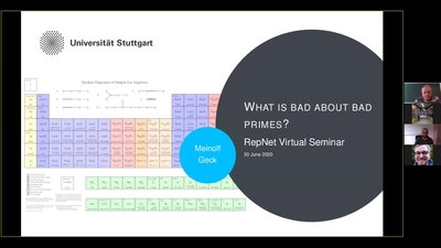 30 June Meinolf Geck What is bad about bad primes.mp4 - Media Hopper Create