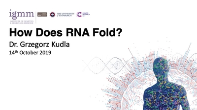 How Does RNA Fold? - Media Hopper Create