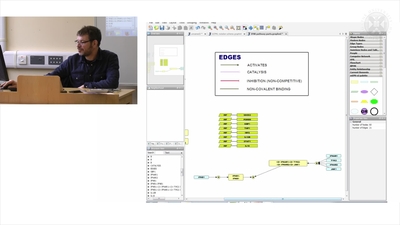 11. Practical Session: IFNB Pathway Description & Diagram - Media ...