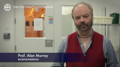 Introduction to Bioengineering from Professor Alan Murray - Media ...