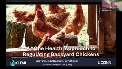 One Health Approach to Regulating Backyard Chickens - University of ...
