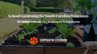 The Garden STEM Lab: Class Management in the School Garden - Clemson ...