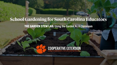 The Garden STEM Lab: Using the Lab as a Garden Classroom - Clemson ...