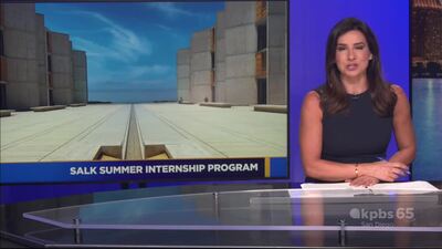 Salk summer internship program - Salk Institute