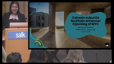 Surf Capstone - Domenica Salazar - Salk Institute