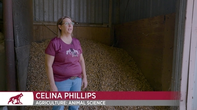Joy of Learning - Celina Philips - Super Heroes in Animal Science - CSU ...