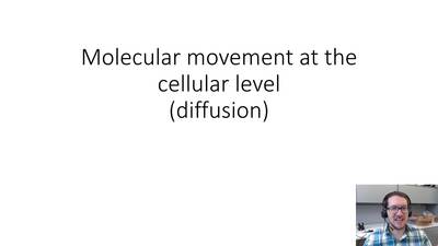 C2b_diffusion - MSU MediaSpace