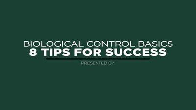 Biological Control Basics: 8 Tips for Success - MSU MediaSpace
