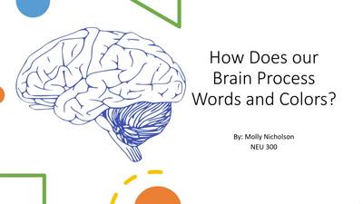 How Does Our Brain Process Words and Colors? - MSU MediaSpace