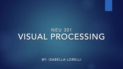 Visual Processing - MSU MediaSpace